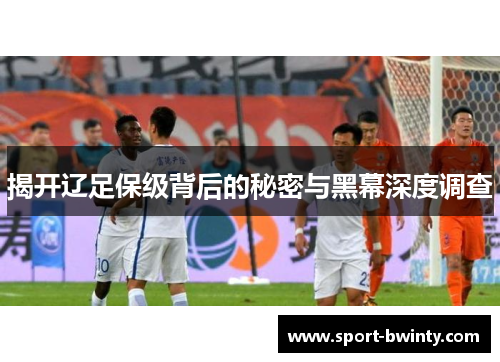 揭开辽足保级背后的秘密与黑幕深度调查