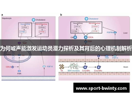 为何嘘声能激发运动员潜力探析及其背后的心理机制解析
