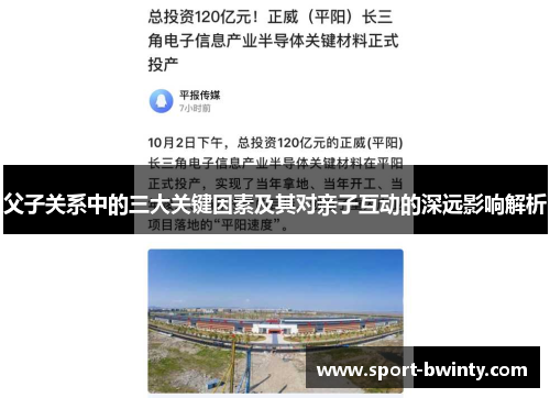 父子关系中的三大关键因素及其对亲子互动的深远影响解析