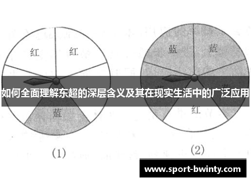如何全面理解东超的深层含义及其在现实生活中的广泛应用