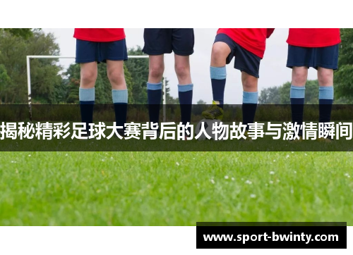 揭秘精彩足球大赛背后的人物故事与激情瞬间